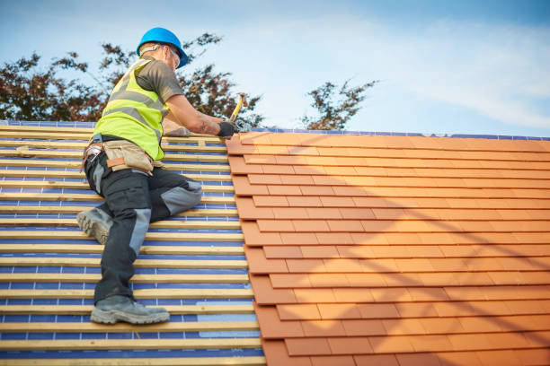 Best Roof Moss and Algae Removal  in Brunswick, MD